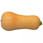 Honeybaby F1